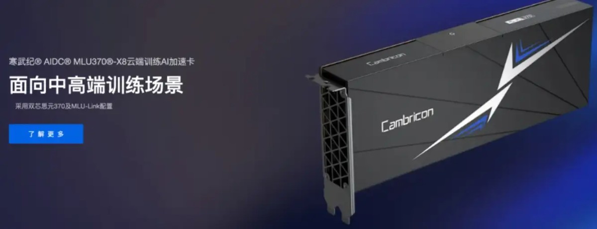 寒王寒武纪，是泡沫还是真金？